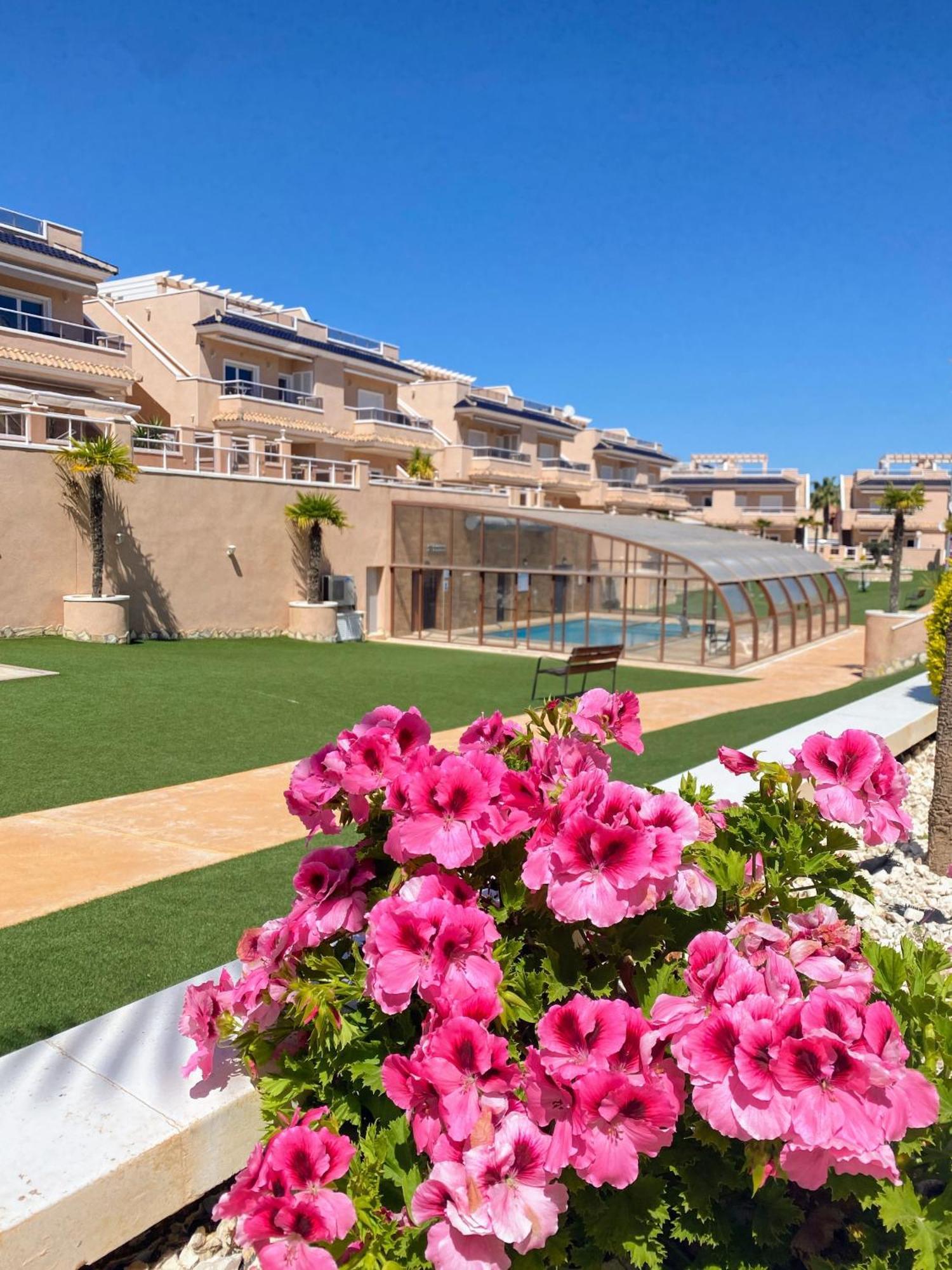 Apartments Punta Prima Indoor & Outdoor Pool トレビエハ エクステリア 写真